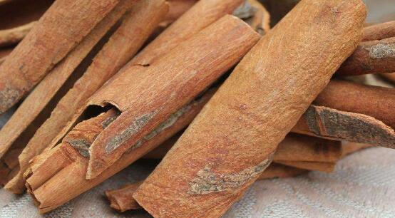 山肉桂的功效与作用-山肉桂的图片样子