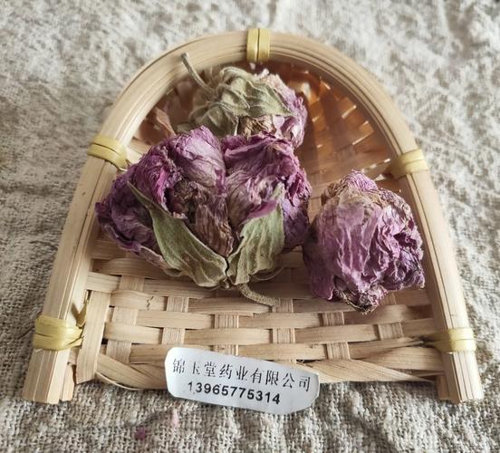 木芙蓉花的功效与作用-木芙蓉花的图片样子