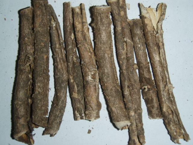 桤木枝梢的功效与作用-桤木枝梢的图片样子