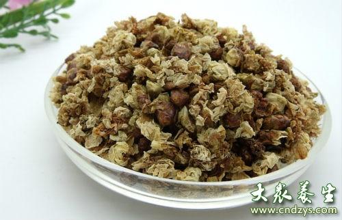 梅花的功效与作用-梅花的图片样子