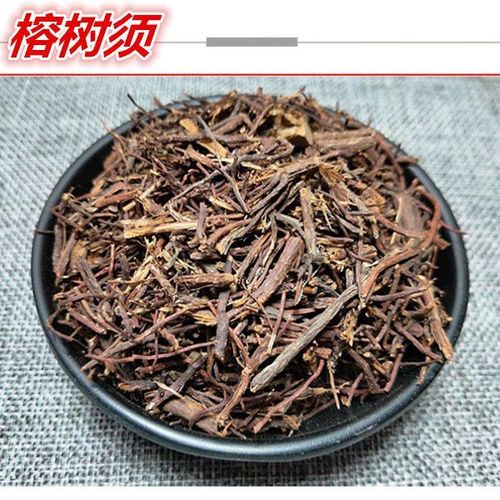榕须的功效与作用-榕须的图片样子