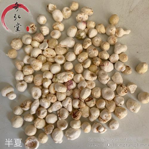 母猪半夏的功效与作用-母猪半夏的图片样子