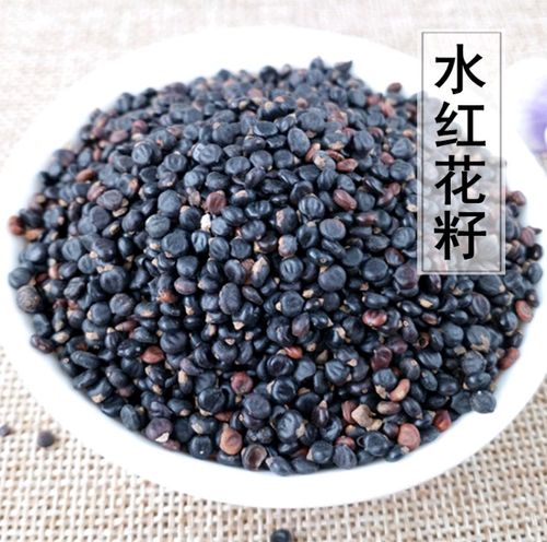 泡花子的功效与作用-泡花子的图片样子