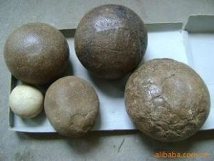 牛羊草结的功效与作用-牛羊草结的图片样子