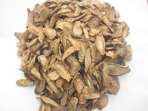 牛蒡根的功效与作用-牛蒡根的图片样子