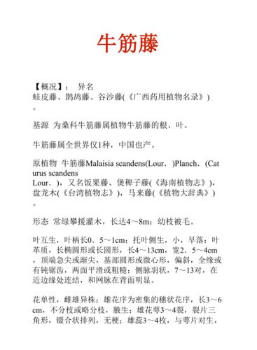 牛马藤的功效与作用-牛马藤的图片样子