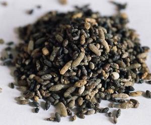 牡鼠粪的功效与作用-牡鼠粪的图片样子