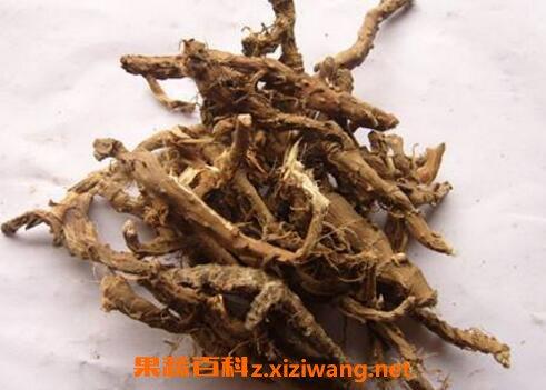 石帆的功效与作用-石帆的图片样子