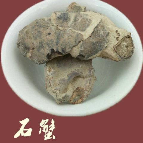 石蟹的功效与作用-石蟹的图片样子