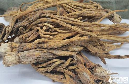 秦艽的功效与作用-秦艽的图片样子