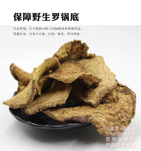 罗锅底的功效与作用-罗锅底的图片样子