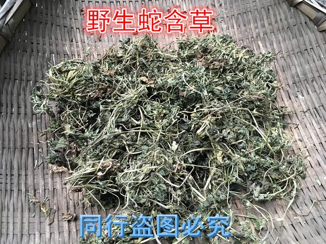蛇含的功效与作用-蛇含的图片样子
