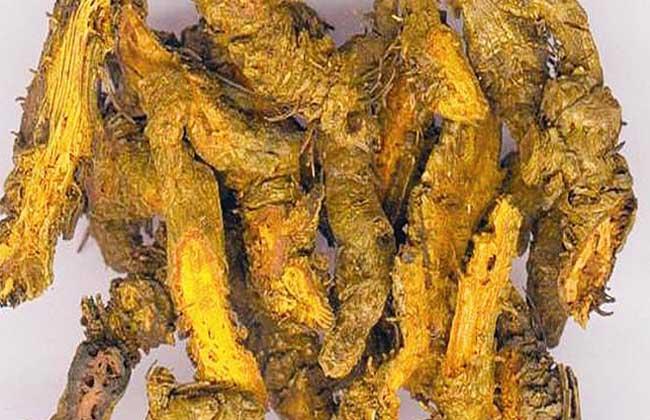 软水黄连的功效与作用-软水黄连的图片样子