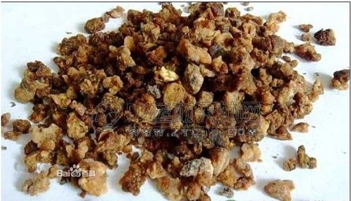 雀脑的功效与作用-雀脑的图片样子