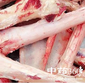 驴骨的功效与作用-驴骨的图片样子