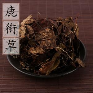 鹿寿草的功效与作用-鹿寿草的图片样子