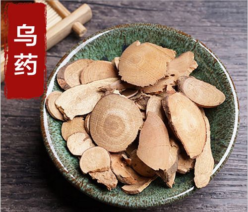 乌药叶的功效与作用-乌药叶的图片样子