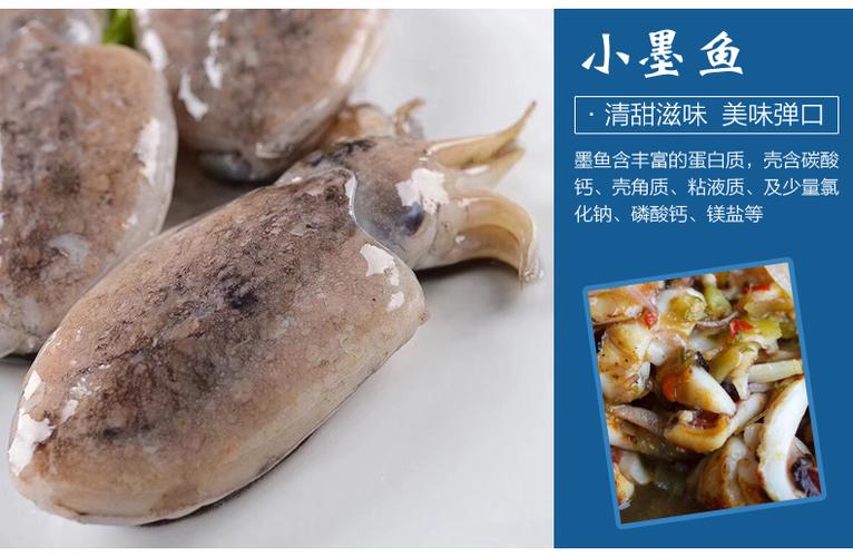 乌贼鱼腹中墨的功效与作用-乌贼鱼腹中墨的图片样子