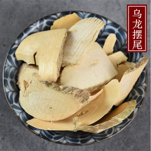 乌龙摆尾的功效与作用-乌龙摆尾的图片样子
