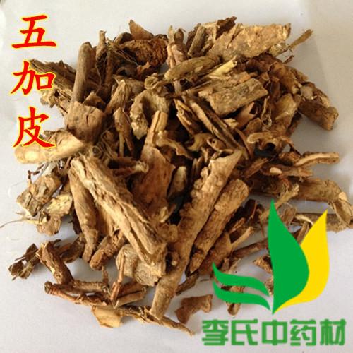 五加皮的功效与作用-五加皮的图片样子