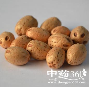 五眼果树皮的功效与作用-五眼果树皮的图片样子