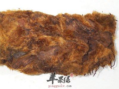 兔皮毛的功效与作用-兔皮毛的图片样子