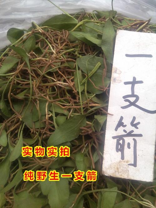 双股箭的功效与作用-双股箭的图片样子