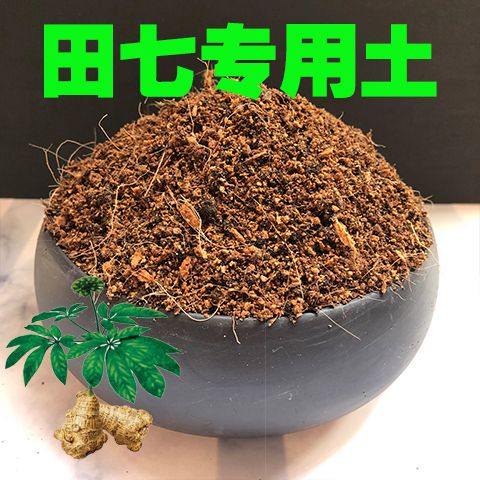 土儿的功效与作用-土儿的图片样子