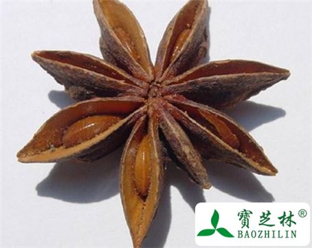 土八角的功效与作用-土八角的图片样子