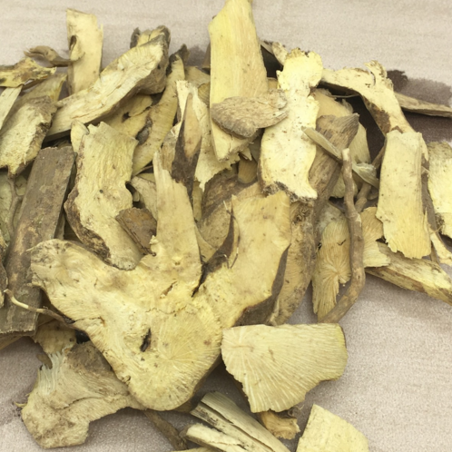 土常山的功效与作用-土常山的图片样子