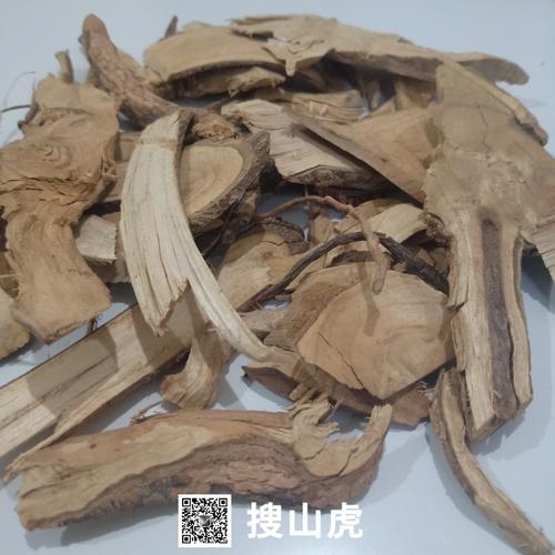 搜山虎的功效与作用-搜山虎的图片样子