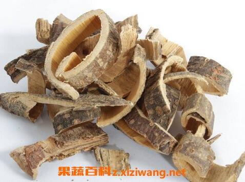 无名木皮的功效与作用-无名木皮的图片样子