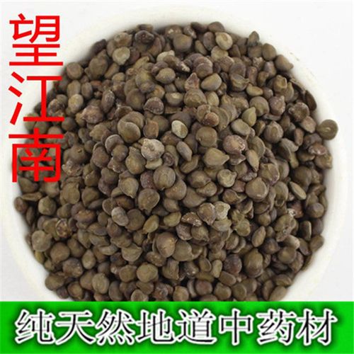 望江南子的功效与作用-望江南子的图片样子