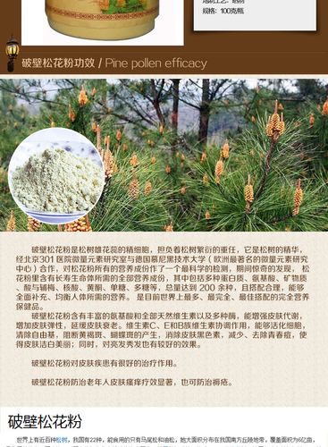 松花粉的功效与作用-松花粉的图片样子