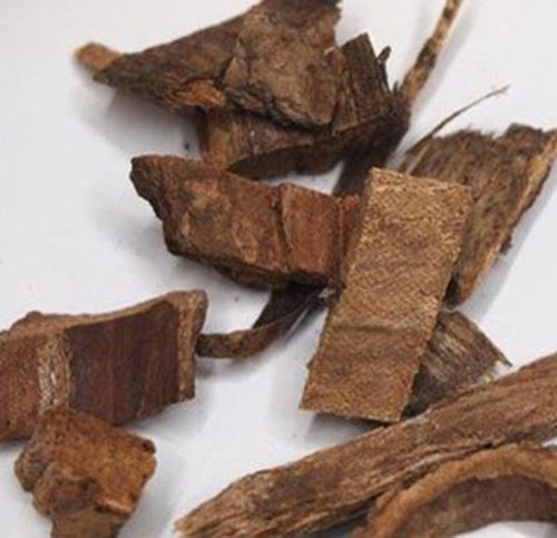 桐根的功效与作用-桐根的图片样子