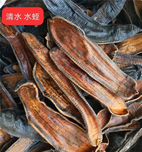 水栀的功效与作用-水栀的图片样子