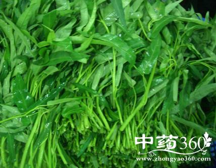水湿柳叶菜的功效与作用-水湿柳叶菜的图片样子