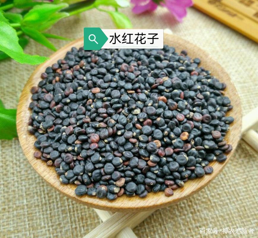 水红花子的功效与作用-水红花子的图片样子