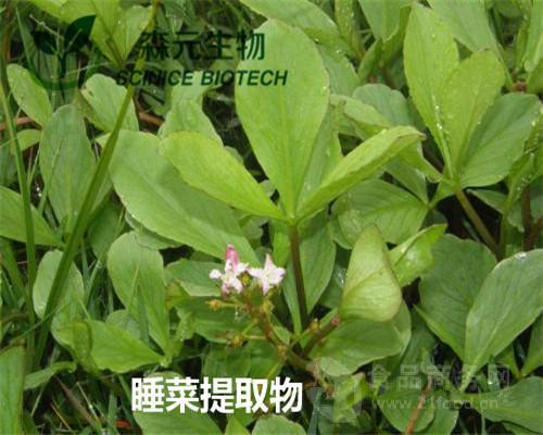睡菜的功效与作用-睡菜的图片样子