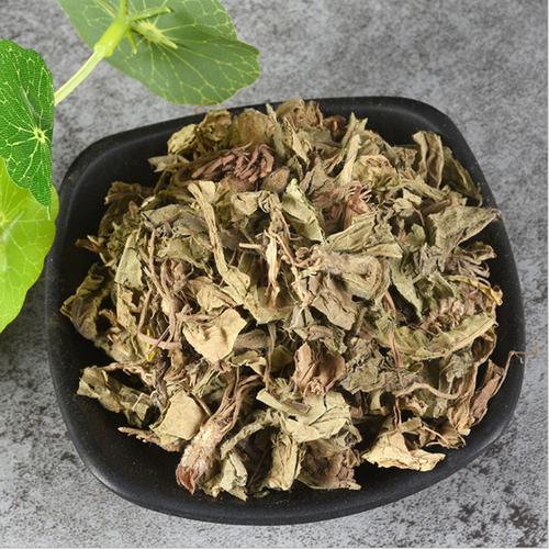 睡菜根的功效与作用-睡菜根的图片样子