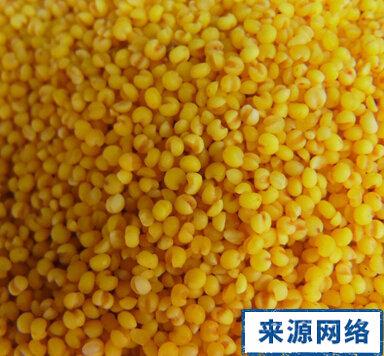 粟米泔汁的功效与作用-粟米泔汁的图片样子