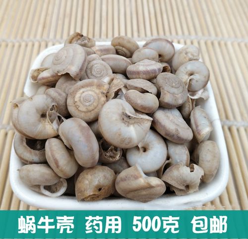 蜗牛壳的功效与作用-蜗牛壳的图片样子