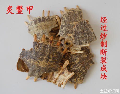 鼍甲的功效与作用-鼍甲的图片样子