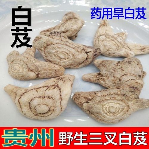小白撑的功效与作用-小白撑的图片样子