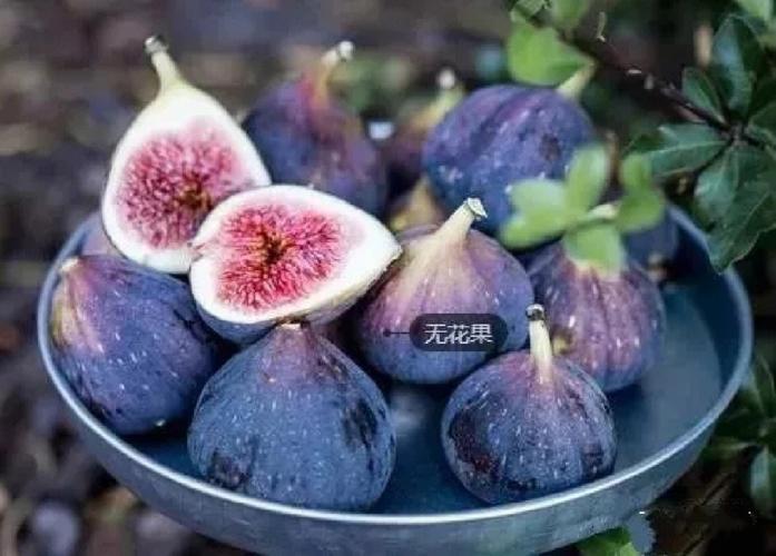 无花果的功效与作用-无花果的图片样子
