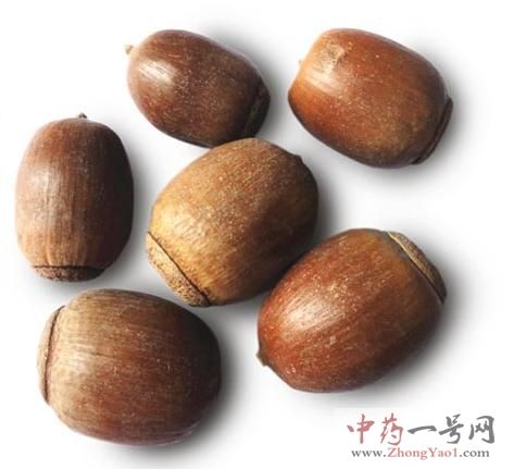 橡实的功效与作用-橡实的图片样子