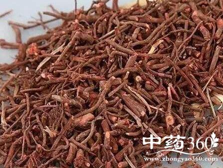云南茜草的功效与作用-云南茜草的图片样子