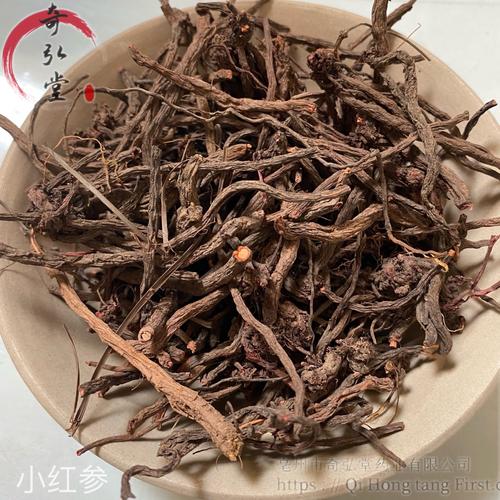 小红参的功效与作用-小红参的图片样子