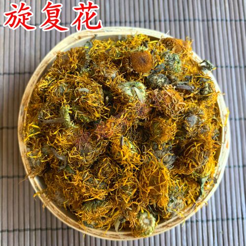旋花的功效与作用-旋花的图片样子