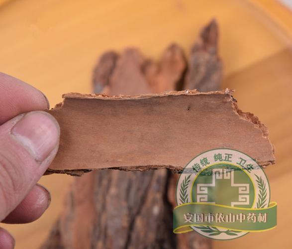 樟树皮的功效与作用-樟树皮的图片样子
